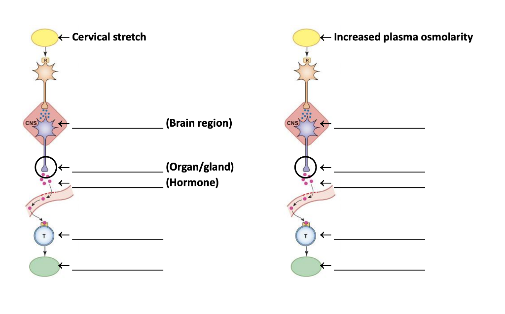 Solved Attached are the figures with some examples | Chegg.com