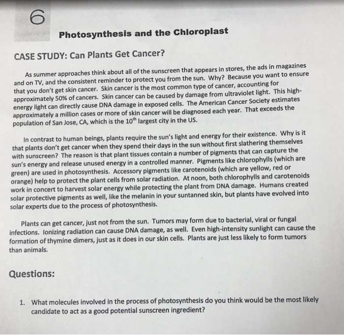 Solved 6 Photosynthesis and the Chloroplast CASE STUDY: Can | Chegg.com