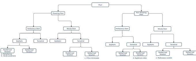Plant Types of Plant Types of Stem Plant Habitat | Chegg.com