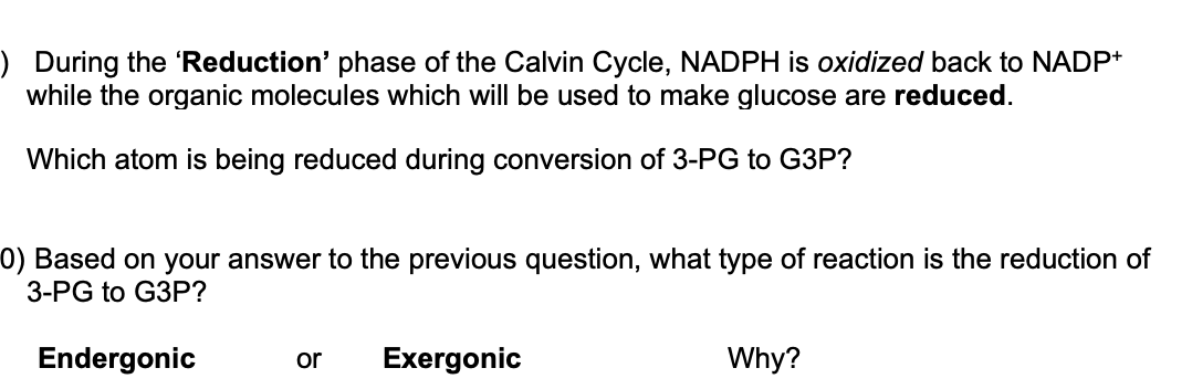 Solved ) During the 'Reduction' phase of the Calvin Cycle, | Chegg.com