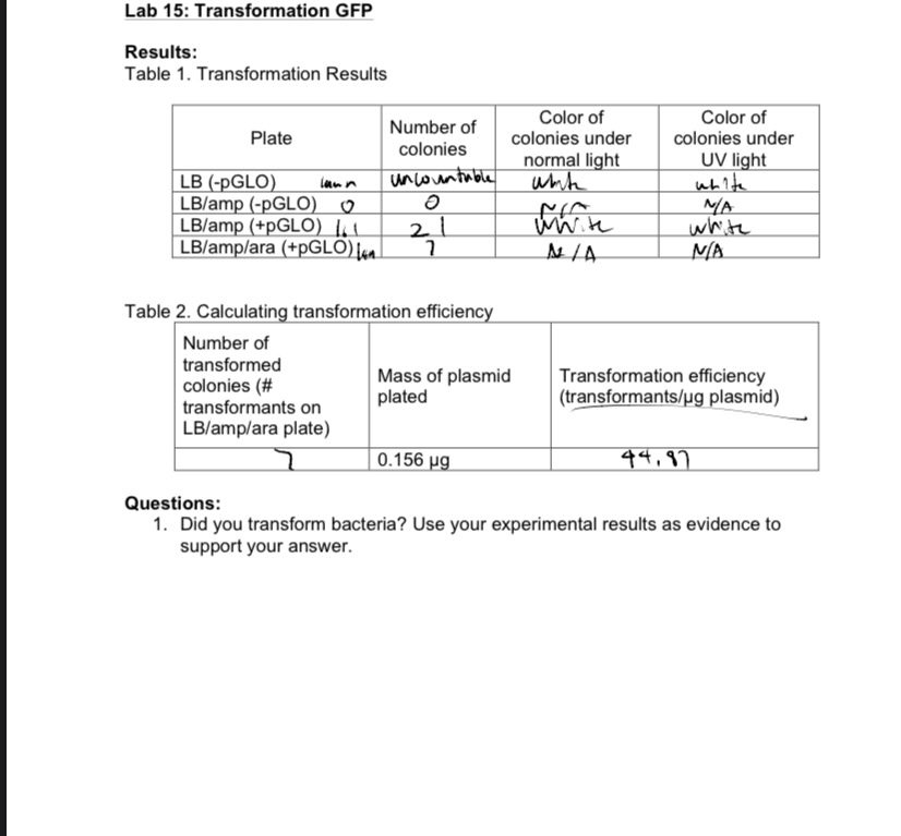 Solved Lab 15: Transformation GFP Results: Table 1. | Chegg.com