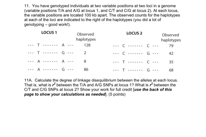 Solved I just need help calculating the alleles in one | Chegg.com
