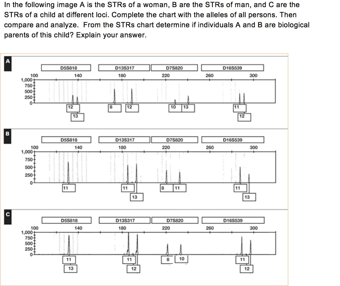 Solved In the following image A is the STRs of a woman, B | Chegg.com