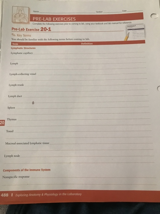 Solved Date Section PRELAB EXERCISES Complete the following