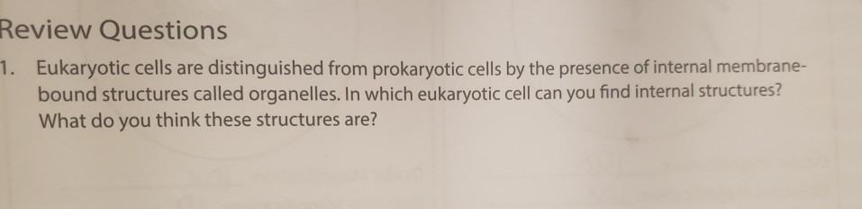 Solved Review Questions 1. Eukaryotic cells are | Chegg.com