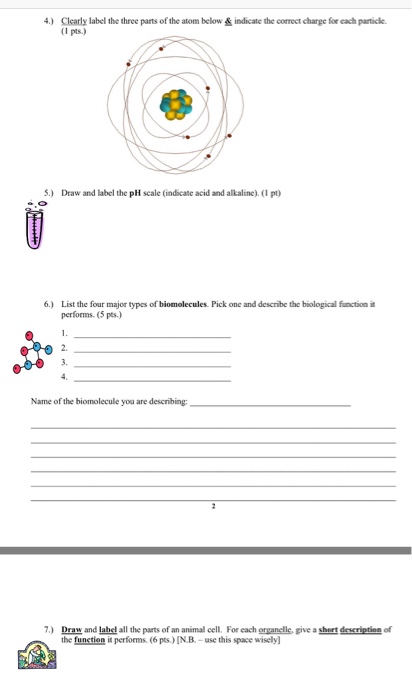 Solved Biology 101 Quiz 1: Name Date: Read the questions | Chegg.com