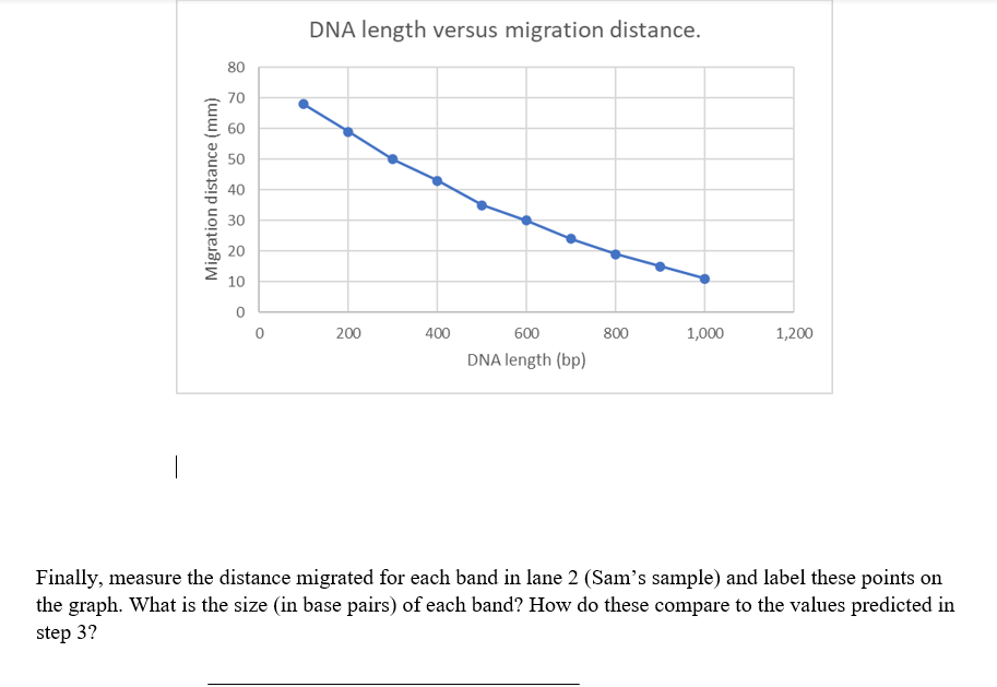 Solved DNA length versus migration distance. 80 70 60 50 | Chegg.com