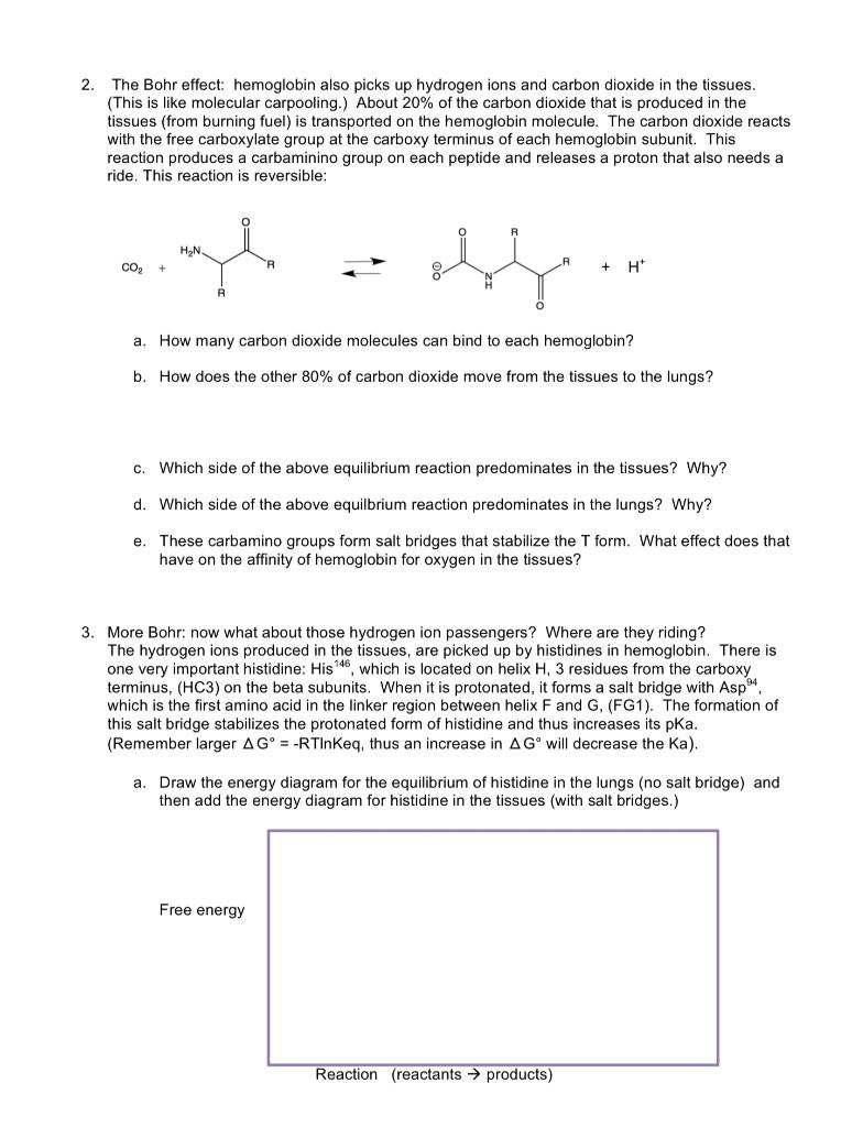Solved 2. The Bohr effect: hemoglobin also picks up hydrogen | Chegg.com