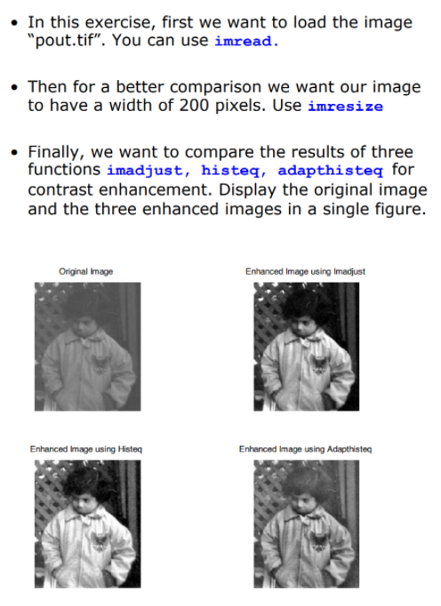 Solved • In this exercise, first we want to load the image | Chegg.com