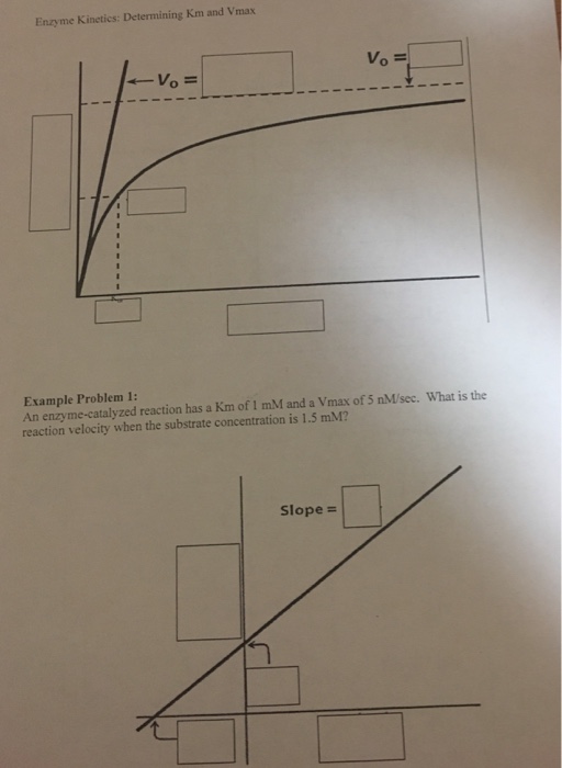 Solved Enzyme Determining Km and Vmax Vo Example