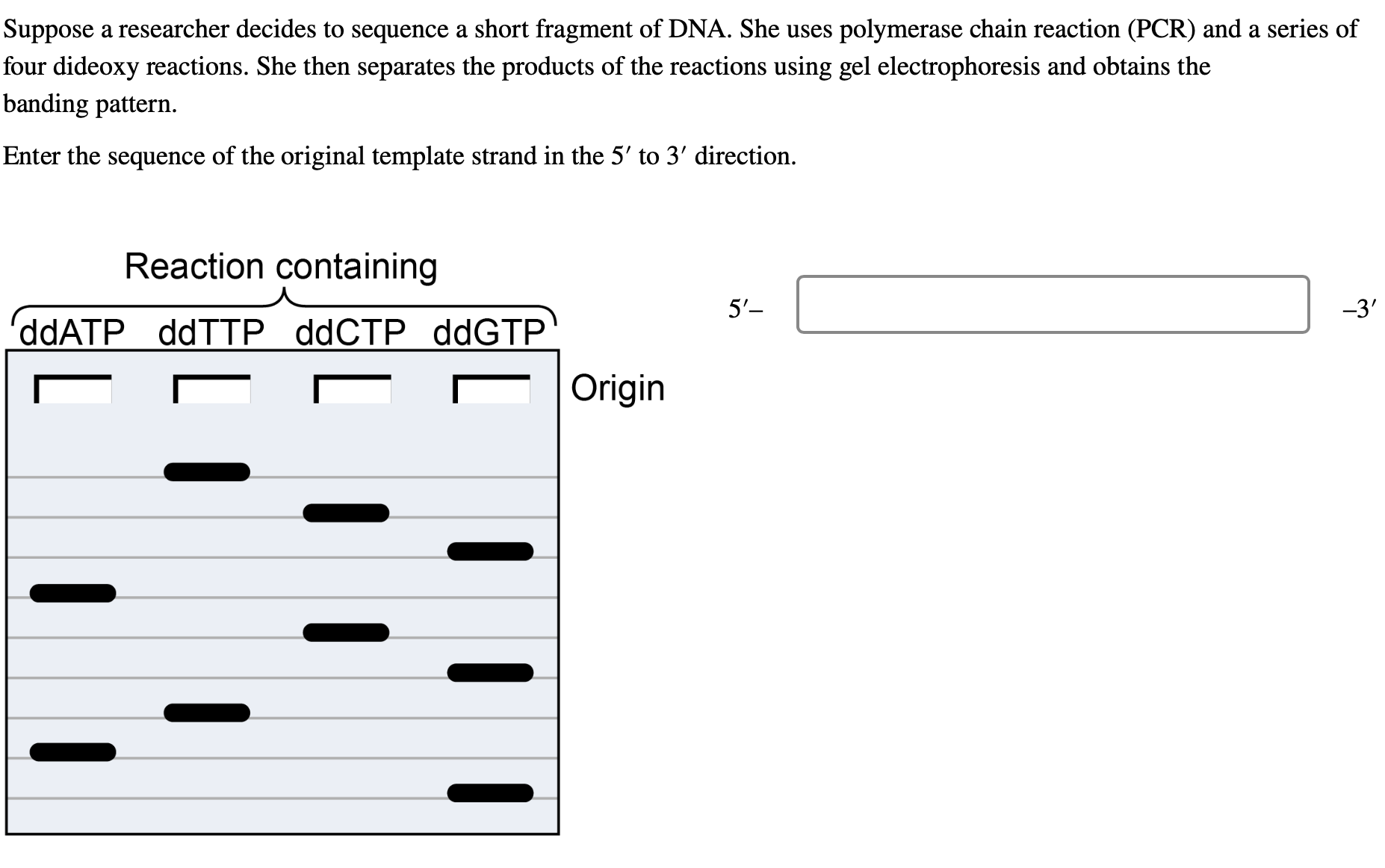 Solved Suppose a researcher decides to sequence a short | Chegg.com