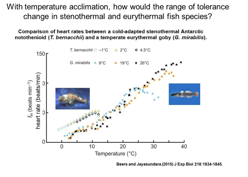 What Is Low Temperature Acclimation