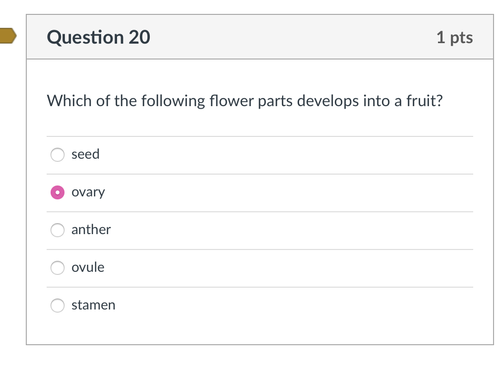 Solved Question 10 1 pts Which of the following supports the | Chegg.com