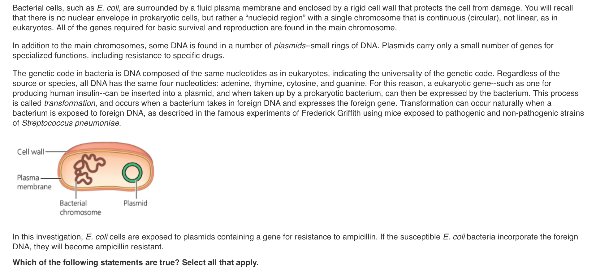 Solved Bacterial Cells Such As E Coli Are Surrounded B Chegg Com