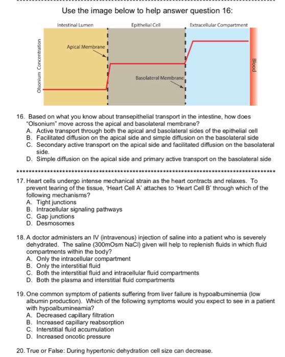 Solved Use the image below to help answer question 16 | Chegg.com