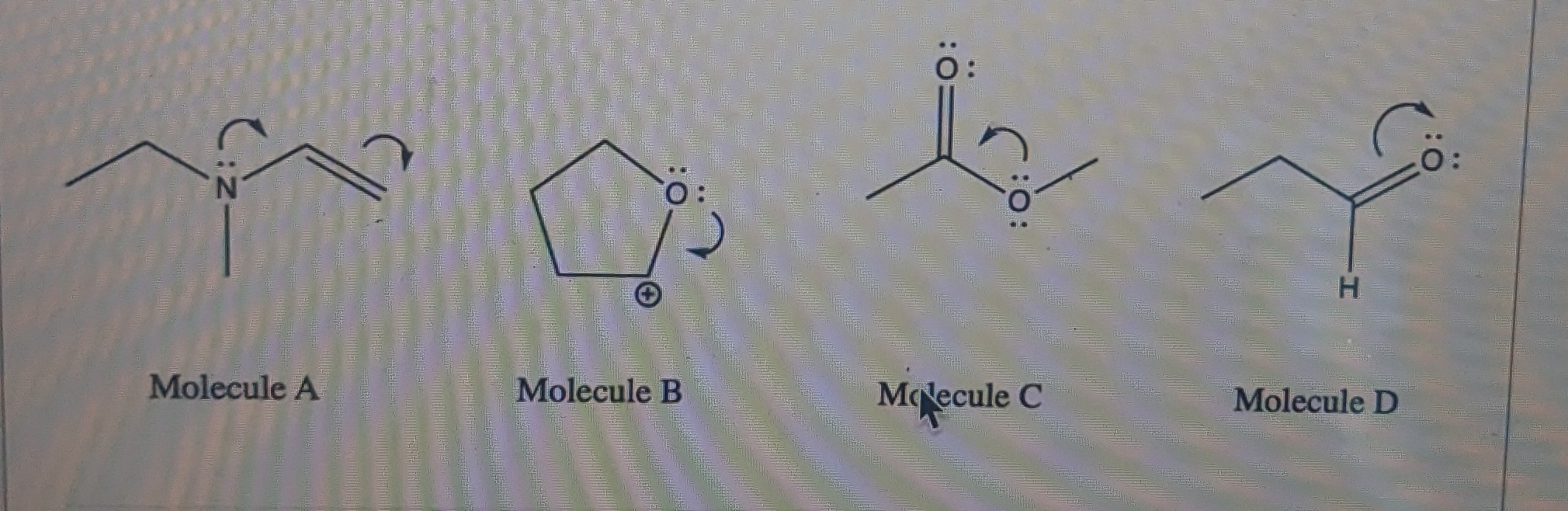 Solved Molecule A Molecule B Molecule C Molecule D | Chegg.com