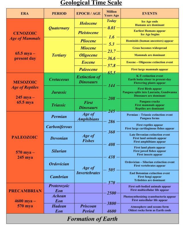 solved-geological-time-scale-era-period-epoch-age-events-chegg