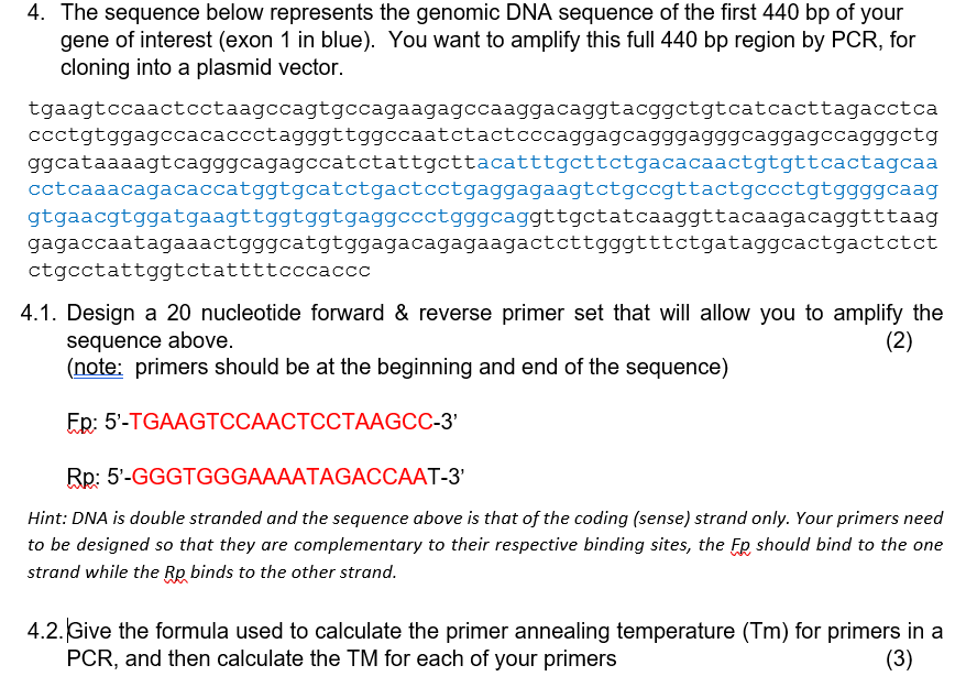 Solved The sequence below represents the genomic DNA | Chegg.com