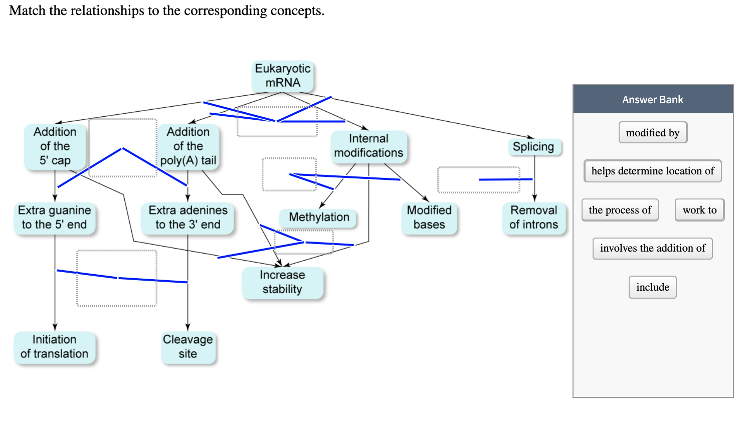 Solved Match the relationships to the corresponding | Chegg.com