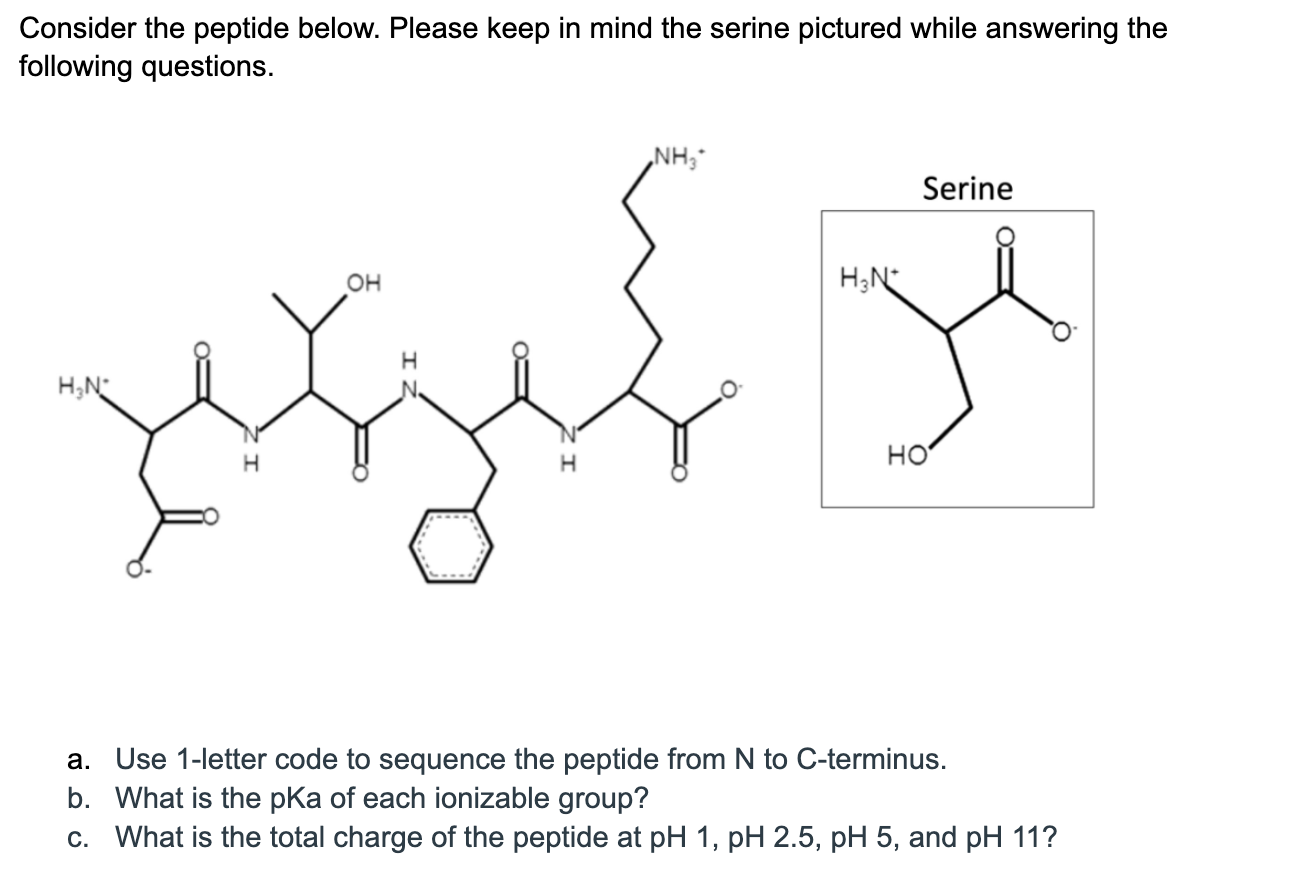 Solved Consider The Peptide Below. Please Keep In Mind The | Chegg.com