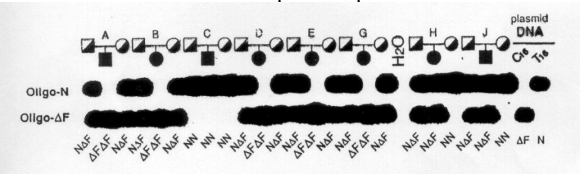 Solved 8. Describe the experiment illustrated in the figure | Chegg.com