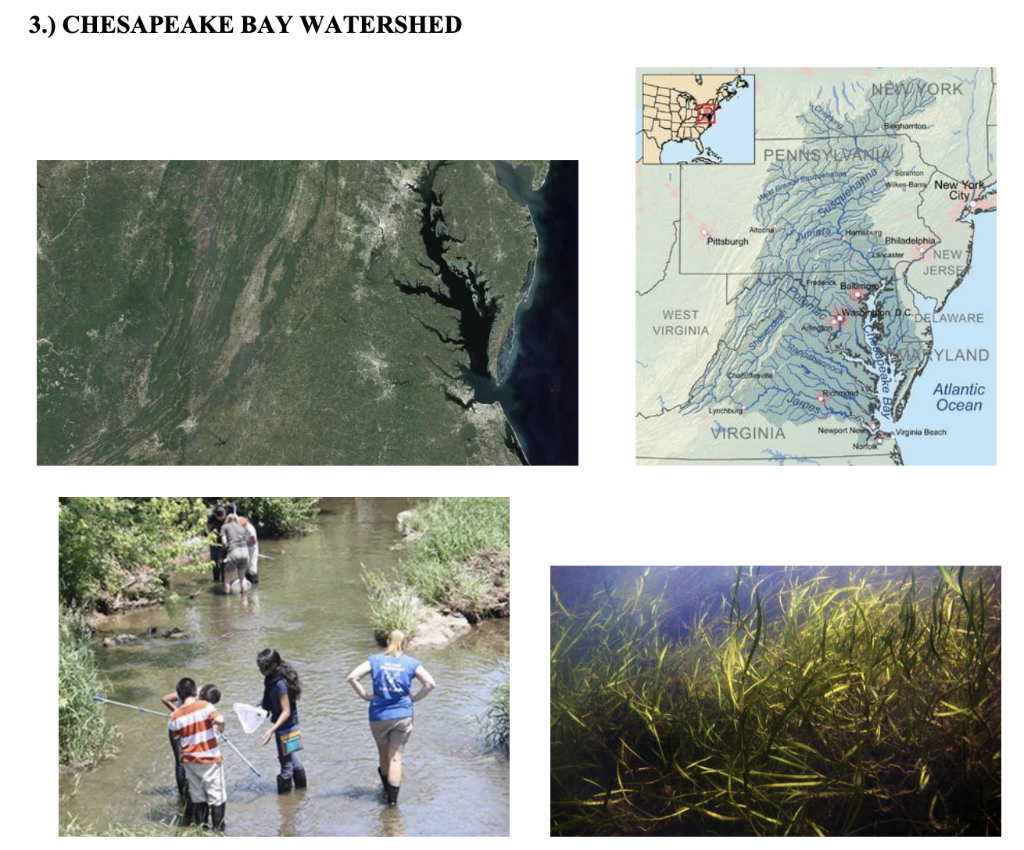 Solved The Chesapeake Bay Watershed is over 166,000 km2 in | Chegg.com