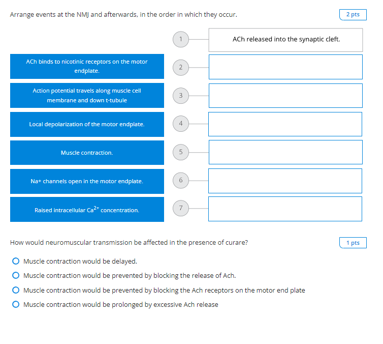 Arrange events at the NMJ and afterwards, in the order in which they occur.
ACh binds to nicotinic receptors on the motor end