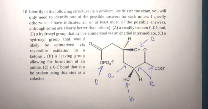 Solved 10. Identify In The Following Structure (in A Problem | Chegg.com