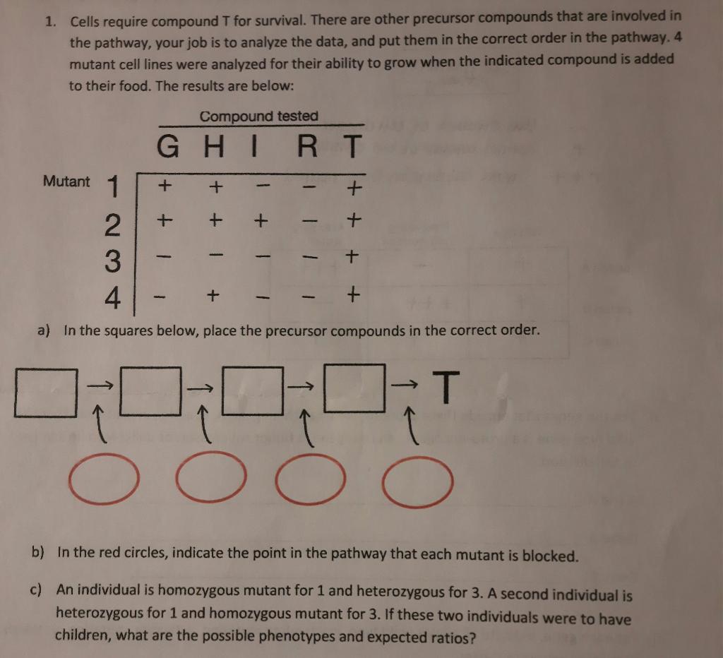 Solved 1. Cells require compound T for survival. There are | Chegg.com