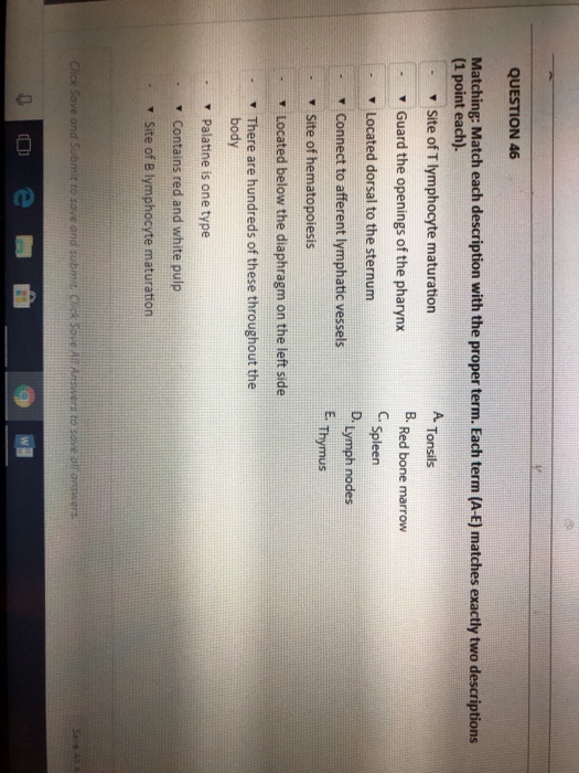 Solved QUESTION 46 Matching: Match each description with the | Chegg.com
