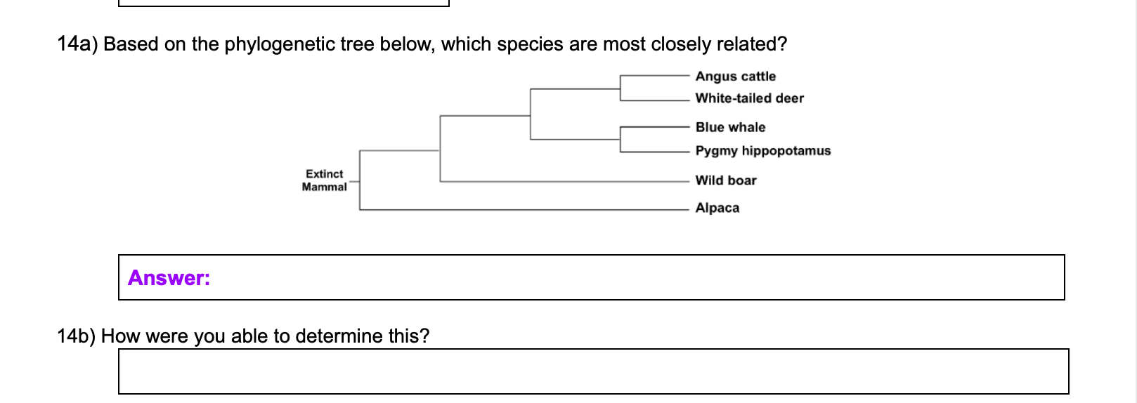Solved 14a) Based on the phylogenetic tree below, which | Chegg.com