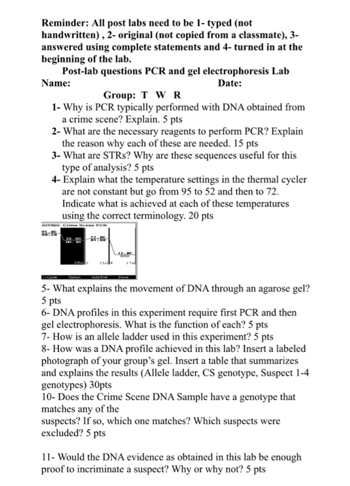 Solved Reminder: All post labs need to be 1- typed (not | Chegg.com