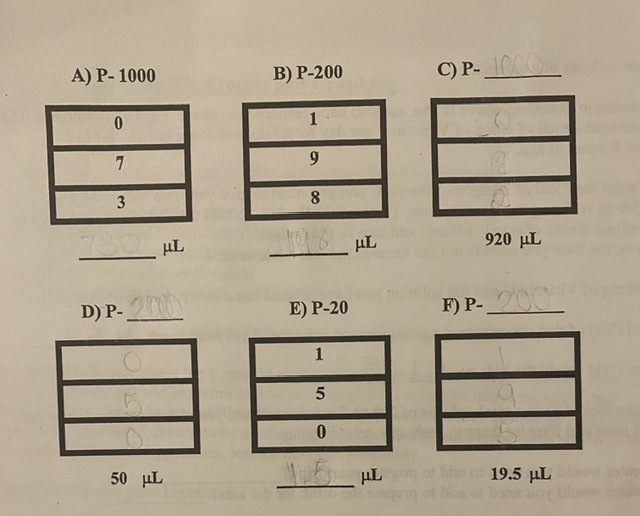 P- E) \( P-20 \) F) P- \( 50 \mu \mathrm{L} \) \( \mu \mathrm{L} \) \( 19.5 \mu \mathrm{L} \)