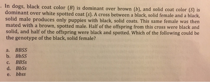 Solved In Dogs, Black Coat Color (B) Is Dominant Over Brown | Chegg.com