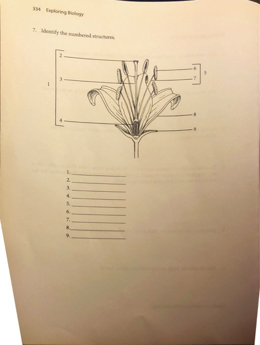 Solved 334 Exploring Biology 7. Identify the numbered | Chegg.com ...