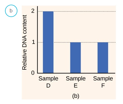 None in Three Research Centre on X: Myth: “It's only domestic