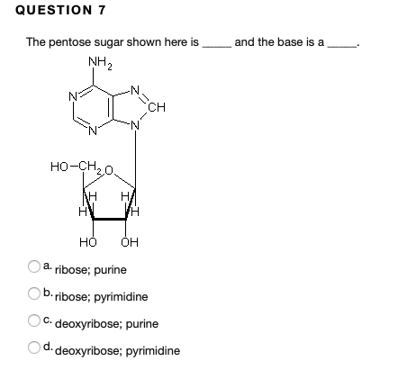 Solved QUESTION 2 A molecule with the formula C2H5COOH is | Chegg.com