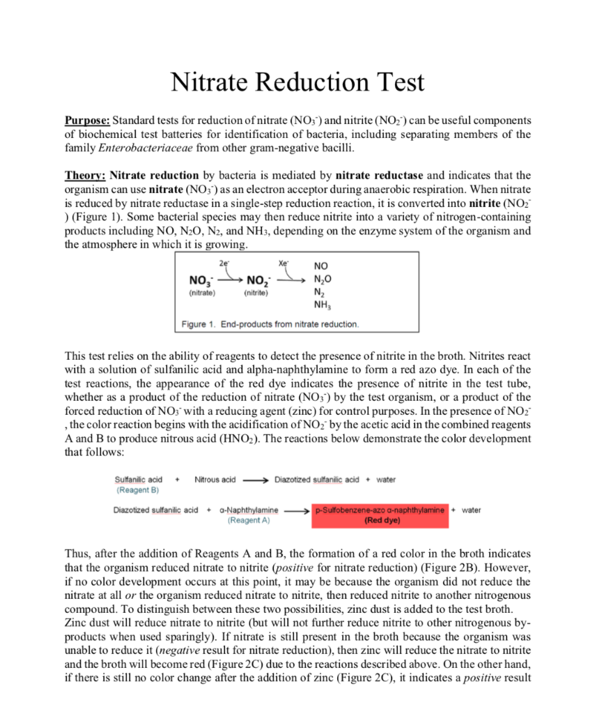 Solved Nitrate Test What are we testing for? What reagents