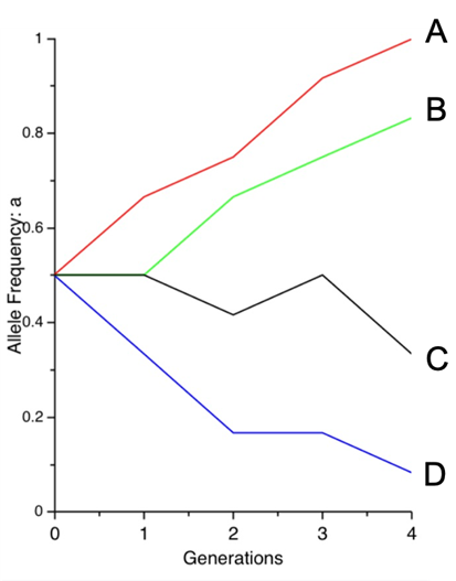 0.8 Allele Frequency: a 0.2- -0 0 1 3 3 2 Generations