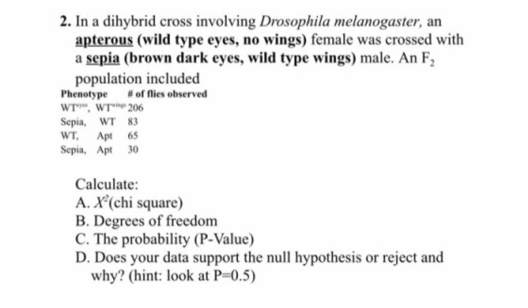 Solved 2. In A Dihybrid Cross Involving Drosophila | Chegg.com