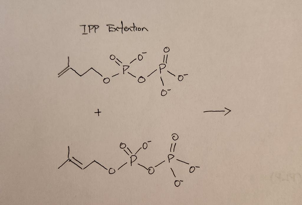Solved IPP Extention | Chegg.com
