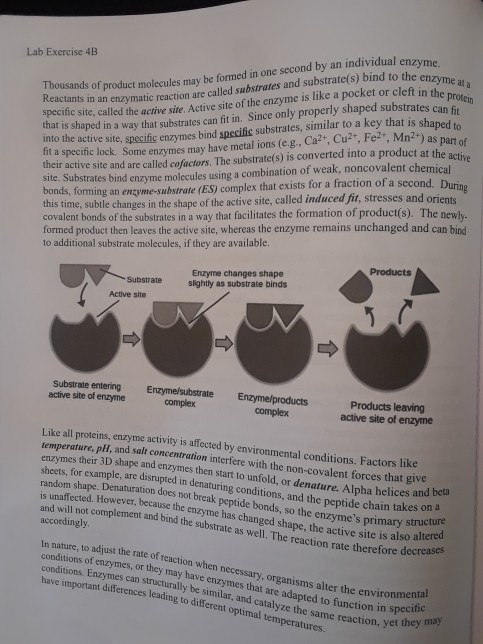 Usands Of Product Molecules May Be Formed In One Chegg