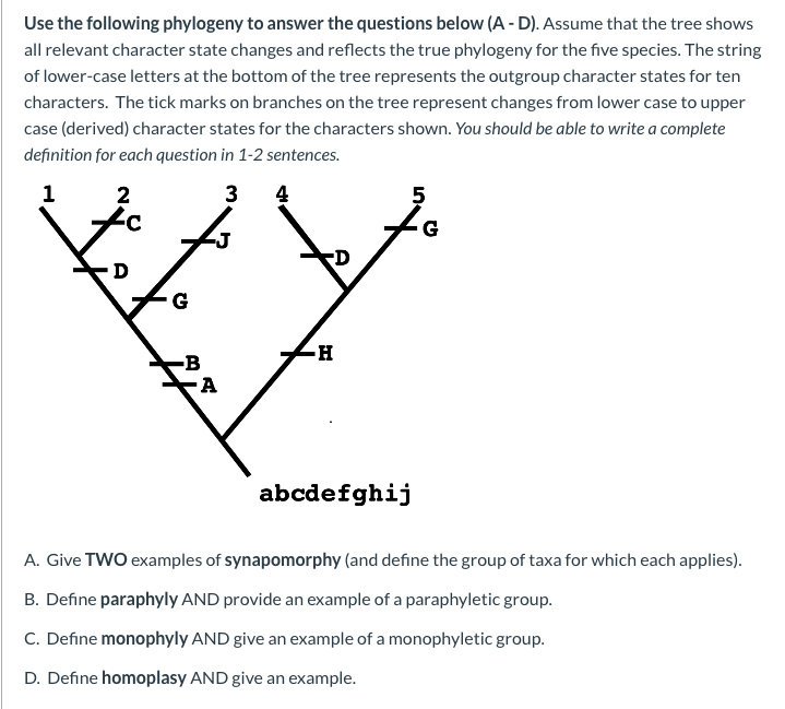 Solved Use the following phylogeny to answer the questions | Chegg.com