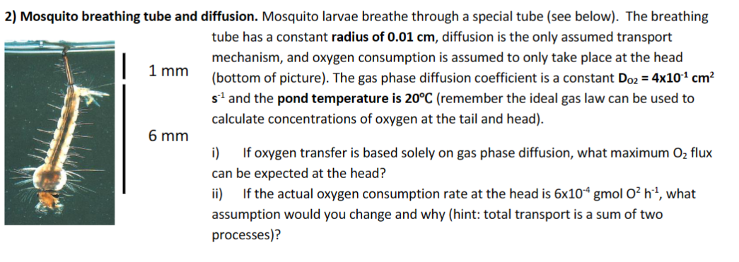 Solved d diffusion. Mosquito larvae breathe through a | Chegg.com
