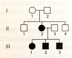 Solved Given the pedigree below, provide an explanation for | Chegg.com