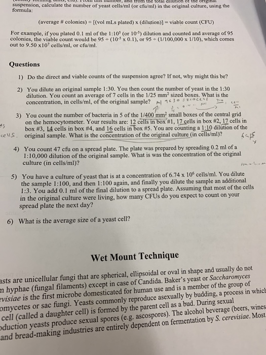 suspension, calculate the number of yeast cells/ml