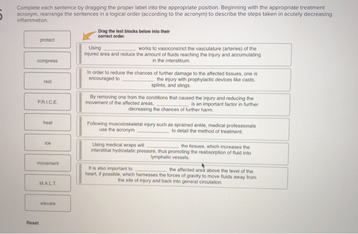 solved-complete-each-sentence-by-dragging-the-proper-label-chegg