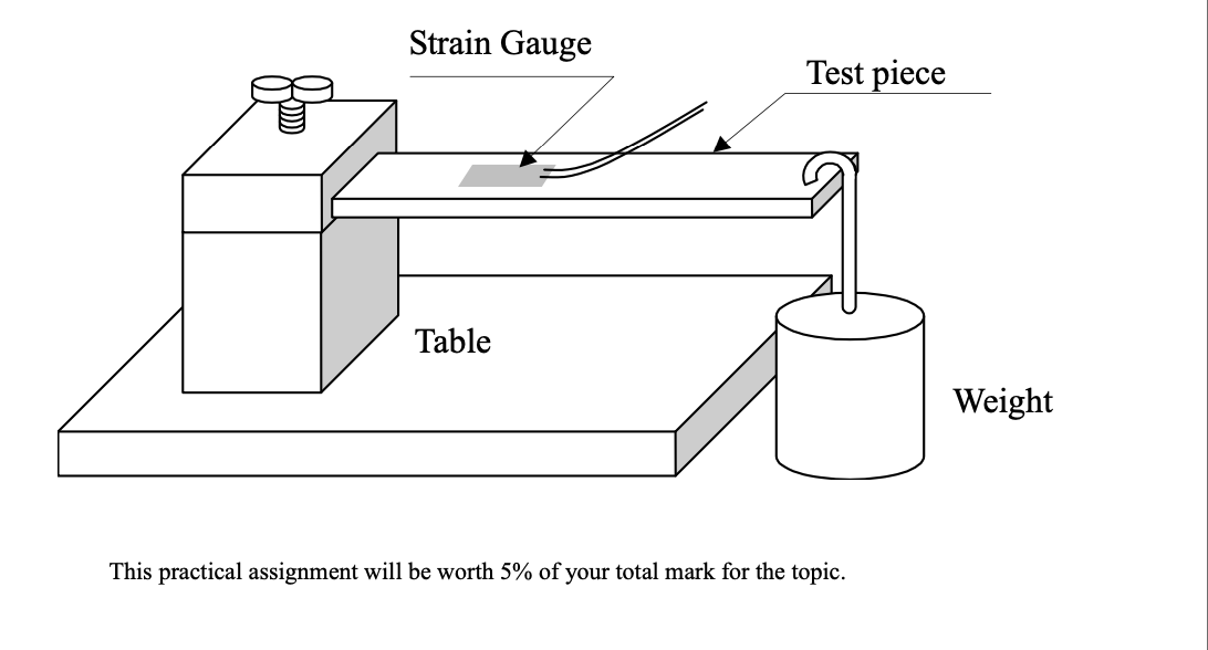 Strain Gauge Test piece Table Weight This practical