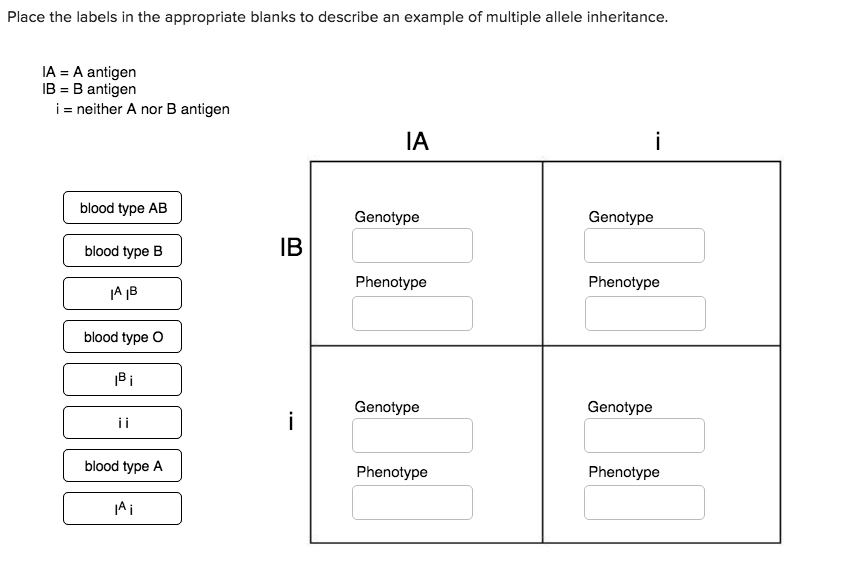 Solved Place the labels in the appropriate blanks to
