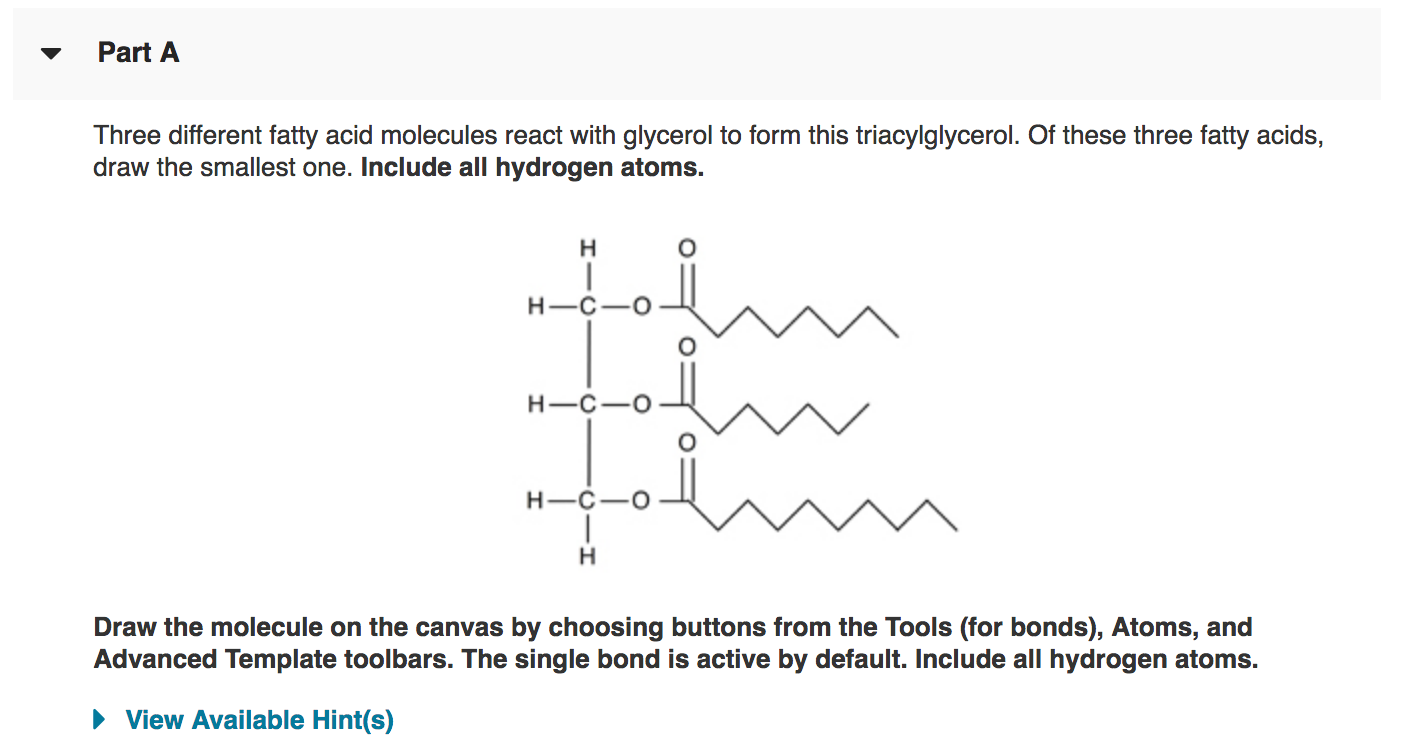 fatty acid molecule